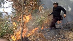 Fire Fighting at Nongmaiching